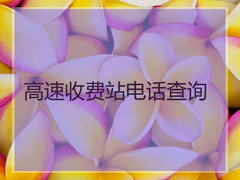 高速收费站电话查询