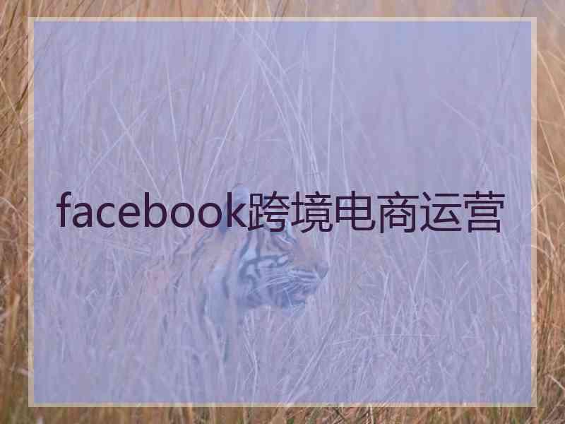 facebook跨境电商运营