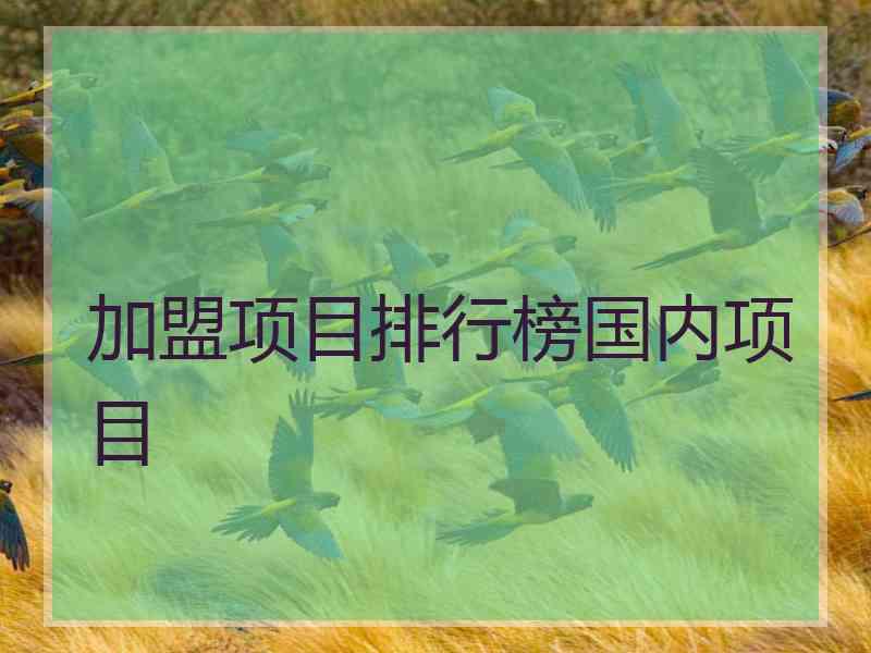 加盟项目排行榜国内项目