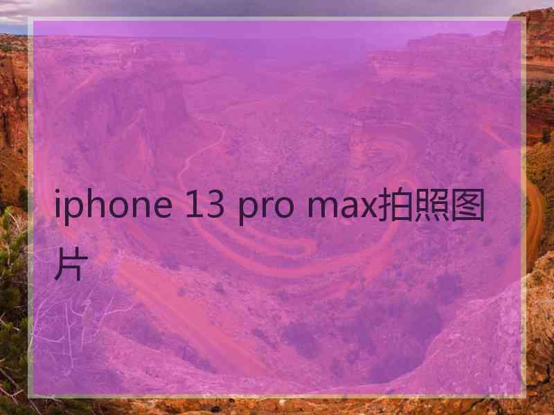 iphone 13 pro max拍照图片