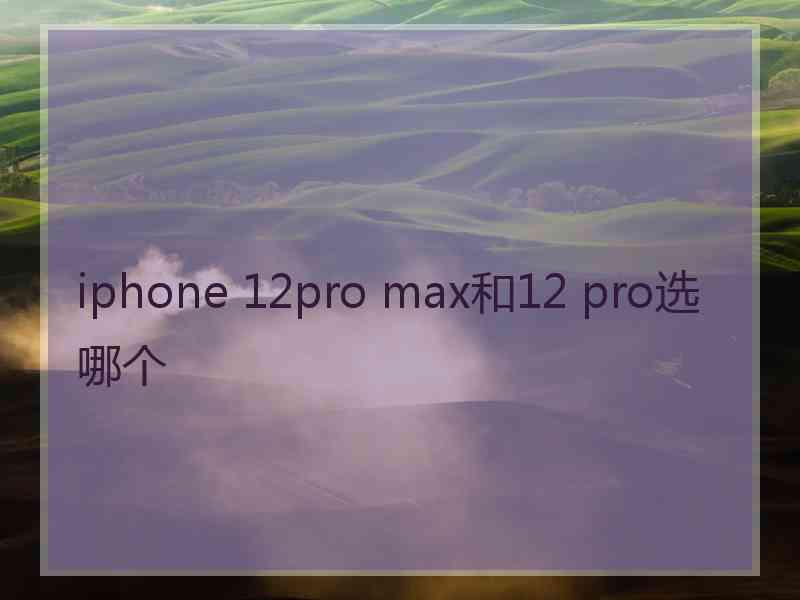 iphone 12pro max和12 pro选哪个