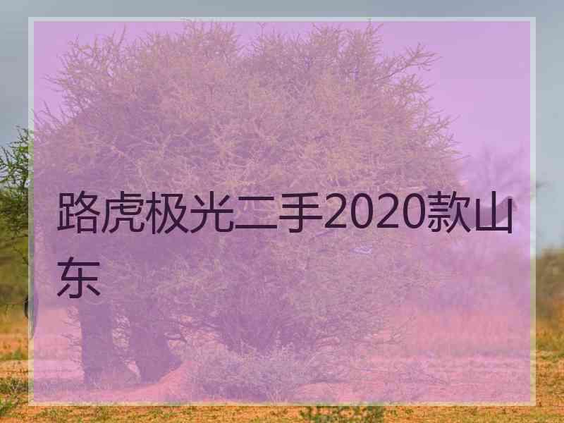 路虎极光二手2020款山东