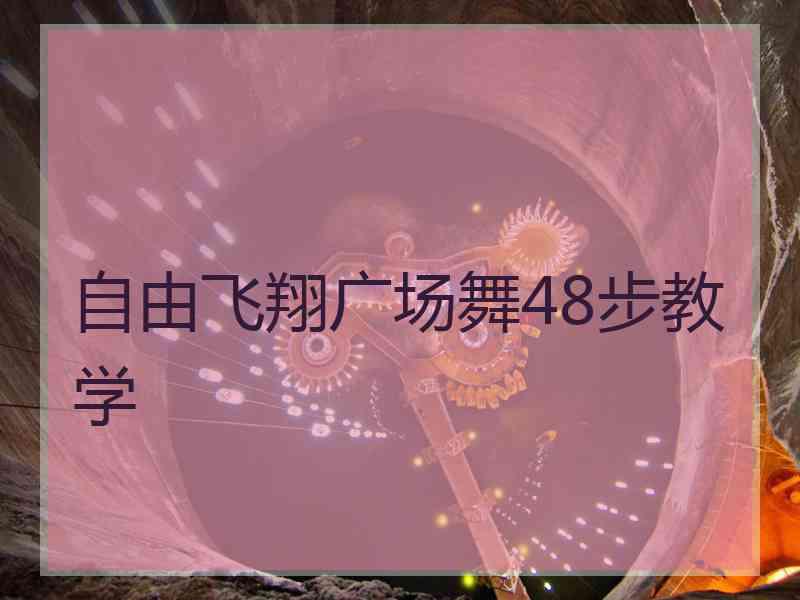 自由飞翔广场舞48步教学