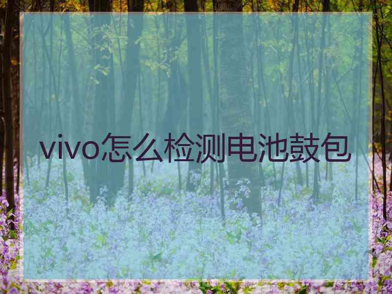 vivo怎么检测电池鼓包