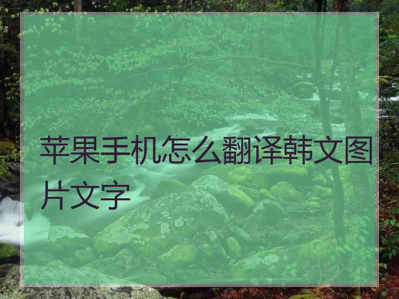 苹果手机怎么翻译韩文图片文字