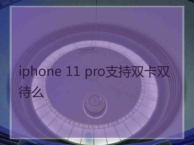 iphone 11 pro支持双卡双待么