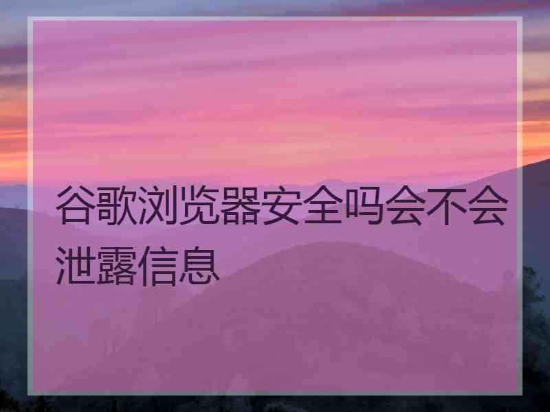 谷歌浏览器安全吗会不会泄露信息