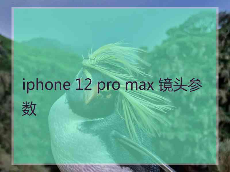 iphone 12 pro max 镜头参数