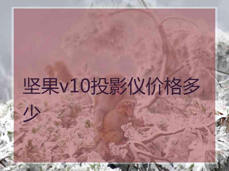 坚果v10投影仪价格多少