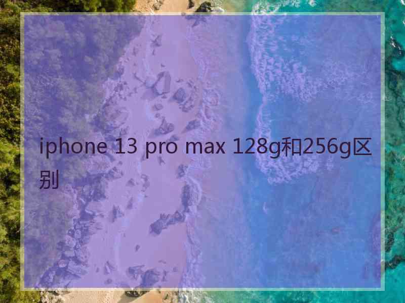 iphone 13 pro max 128g和256g区别