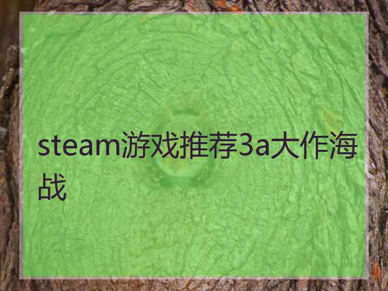 steam游戏推荐3a大作海战