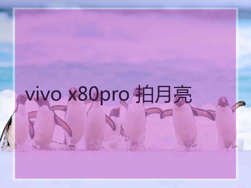 vivo x80pro 拍月亮