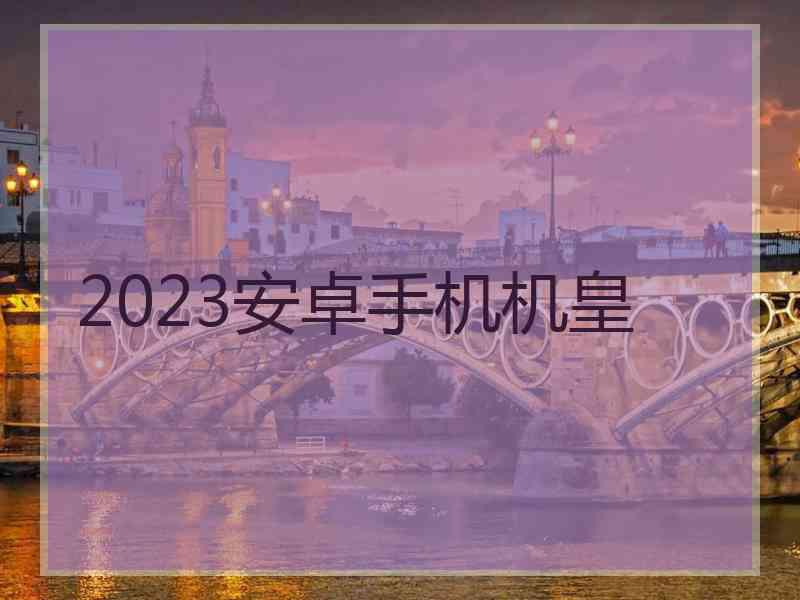 2023安卓手机机皇