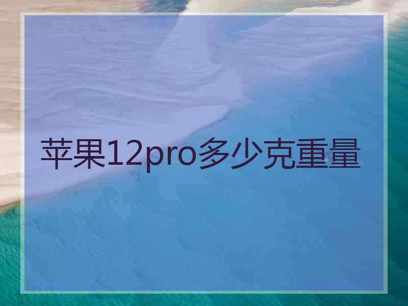 苹果12pro多少克重量