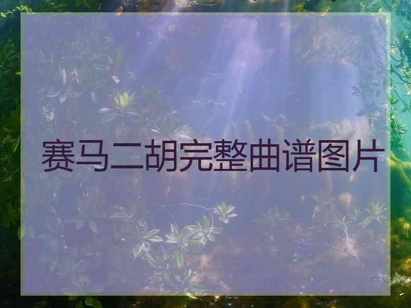 赛马二胡完整曲谱图片