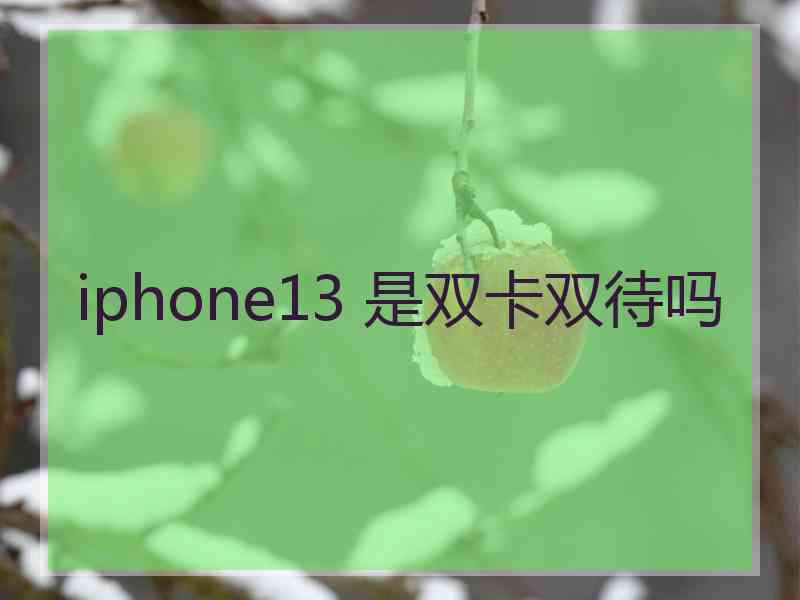 iphone13 是双卡双待吗