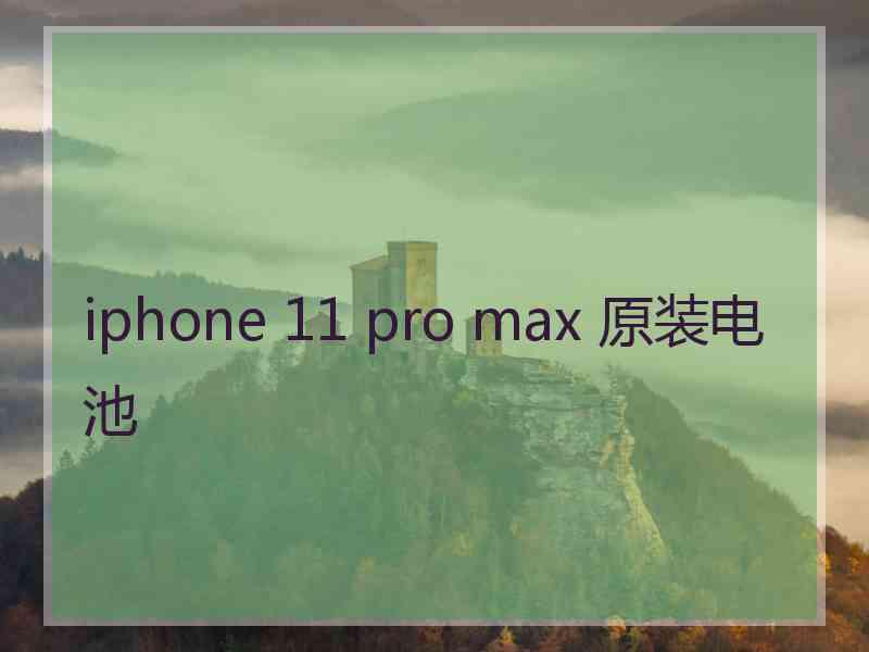 iphone 11 pro max 原装电池