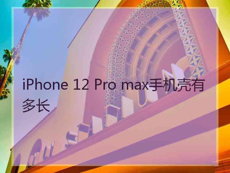 iPhone 12 Pro max手机壳有多长