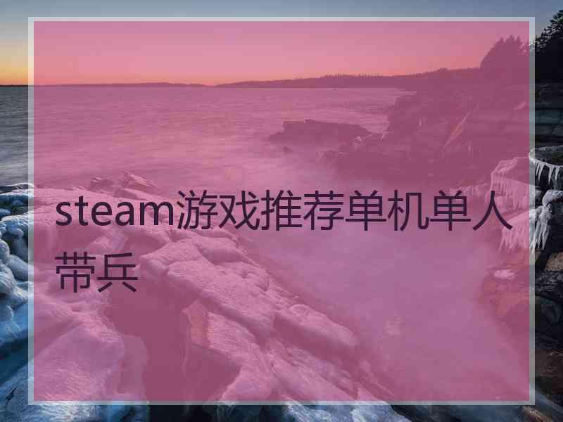 steam游戏推荐单机单人带兵