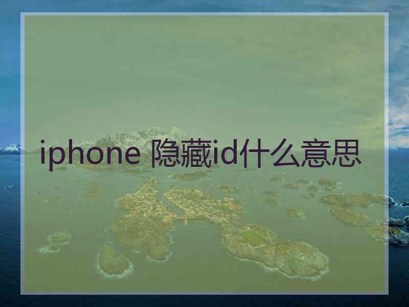 iphone 隐藏id什么意思