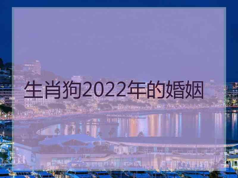 生肖狗2022年的婚姻