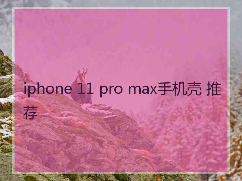 iphone 11 pro max手机壳 推荐