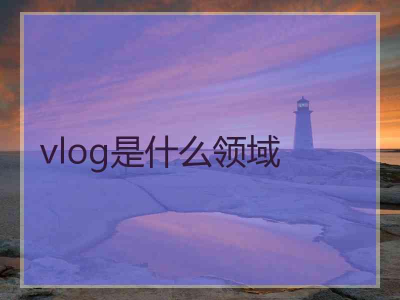 vlog是什么领域