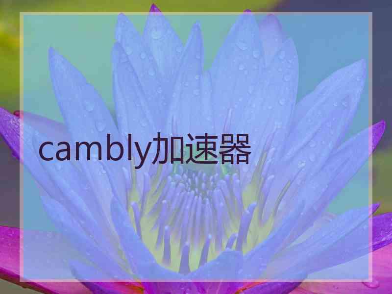 cambly加速器