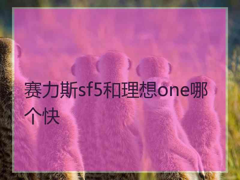 赛力斯sf5和理想one哪个快