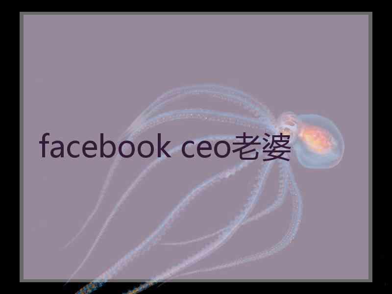 facebook ceo老婆