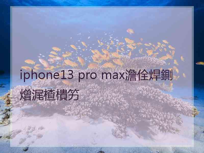 iphone13 pro max澹佺焊鍘熷浘楂樻竻