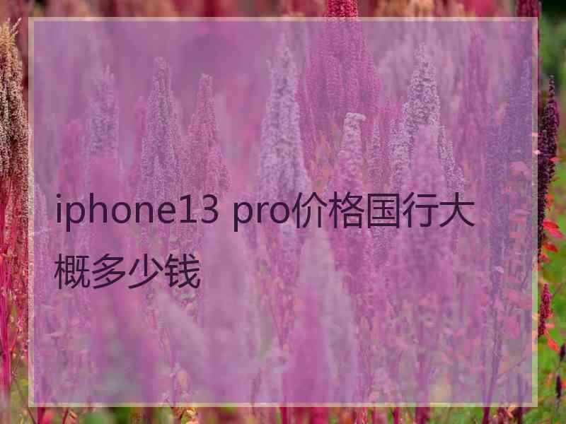 iphone13 pro价格国行大概多少钱