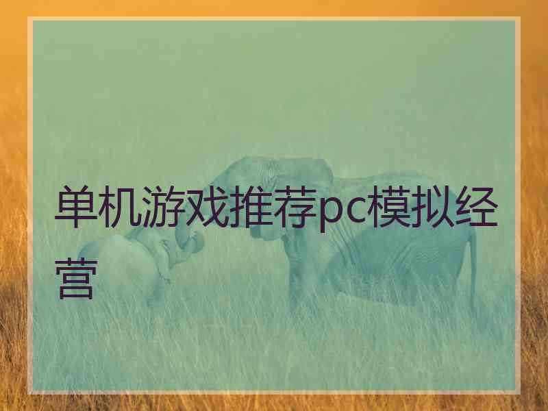 单机游戏推荐pc模拟经营