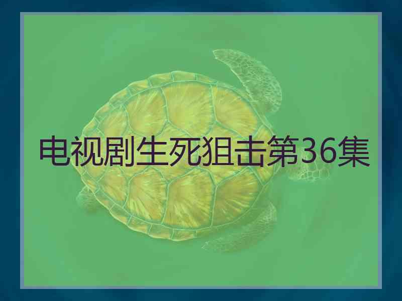 电视剧生死狙击第36集