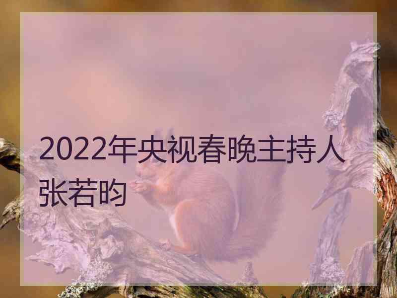 2022年央视春晚主持人张若昀