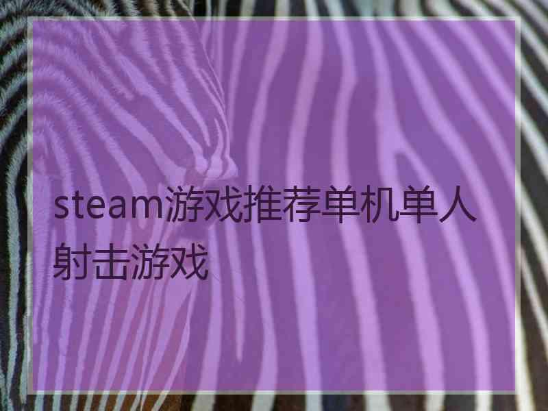 steam游戏推荐单机单人射击游戏