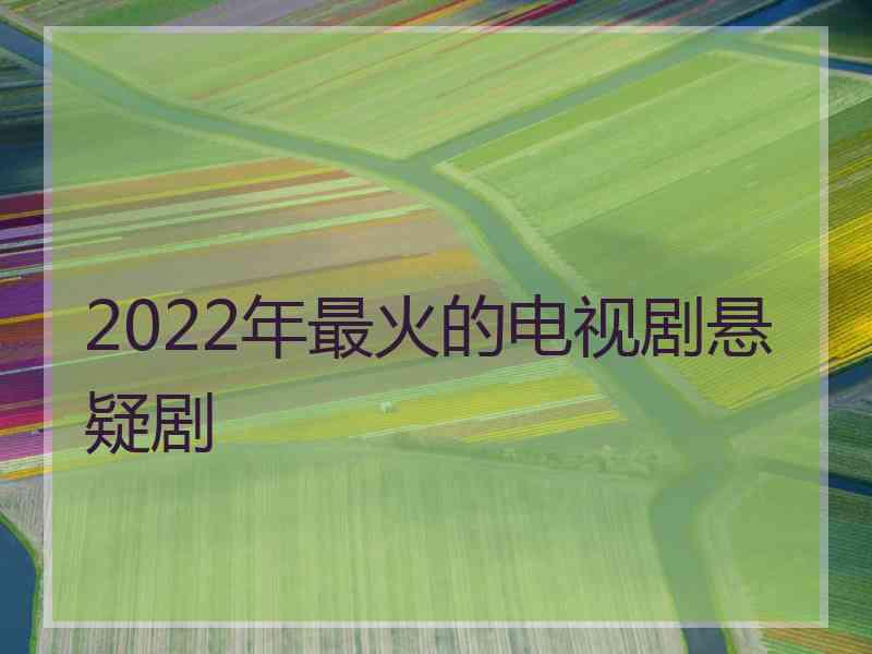 2022年最火的电视剧悬疑剧