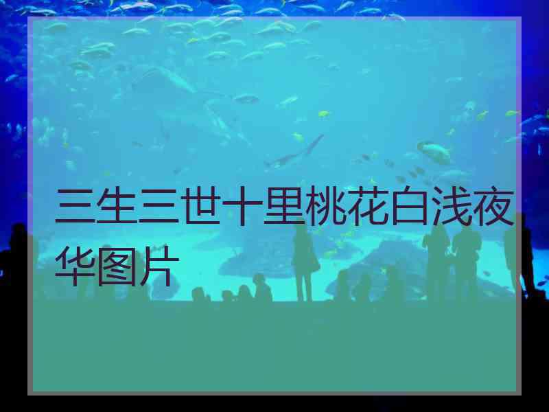 三生三世十里桃花白浅夜华图片