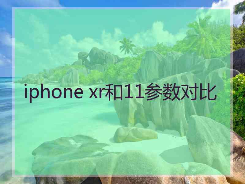 iphone xr和11参数对比