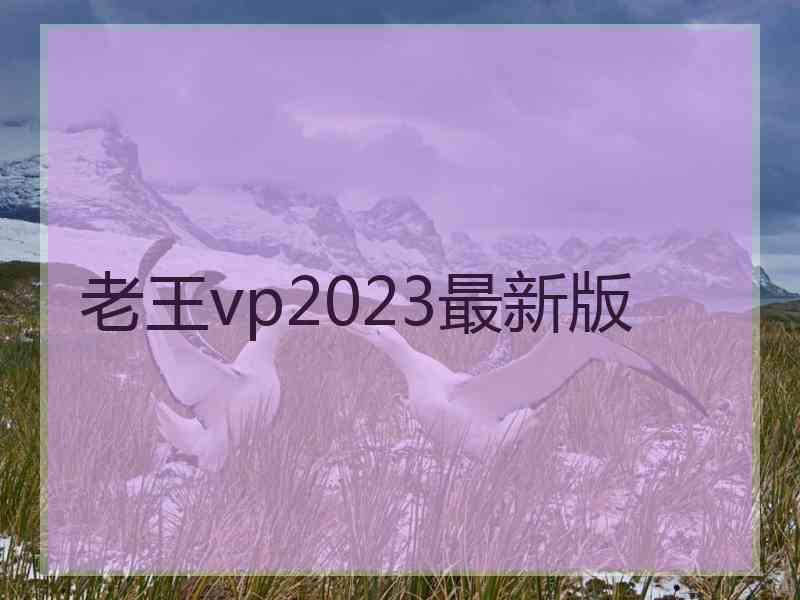 老王vp2023最新版