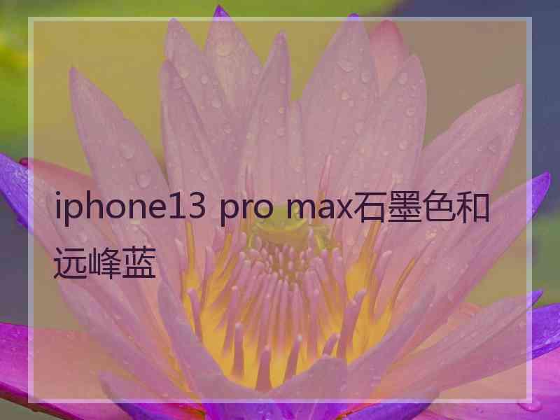 iphone13 pro max石墨色和远峰蓝