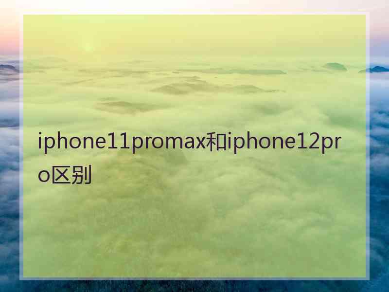 iphone11promax和iphone12pro区别