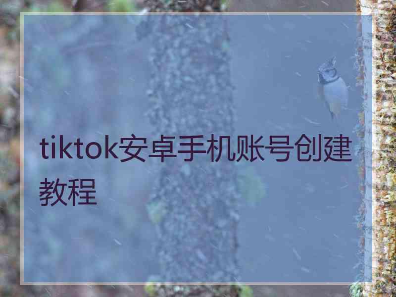 tiktok安卓手机账号创建教程