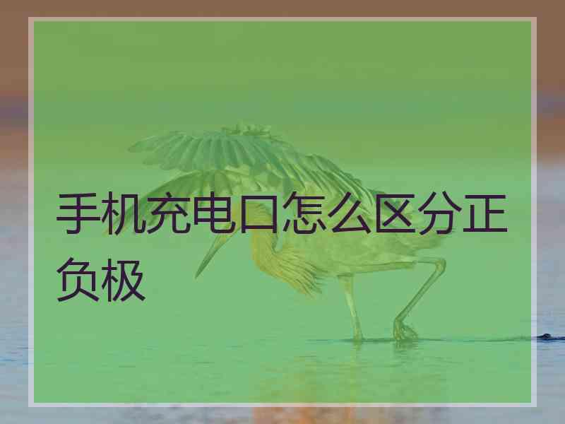 手机充电口怎么区分正负极