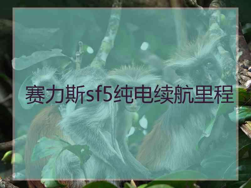 赛力斯sf5纯电续航里程