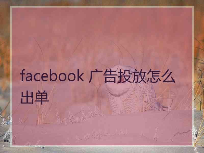 facebook 广告投放怎么出单