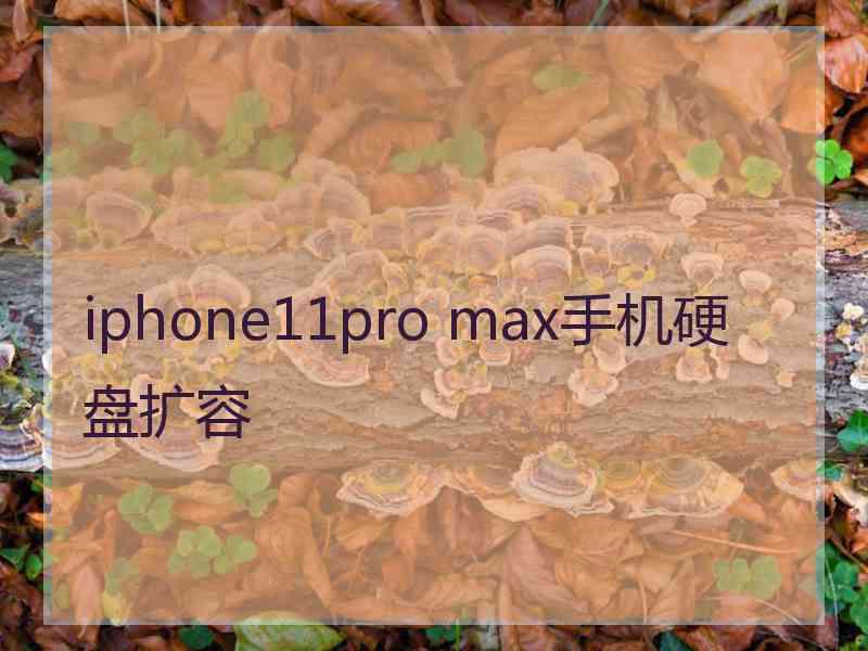 iphone11pro max手机硬盘扩容