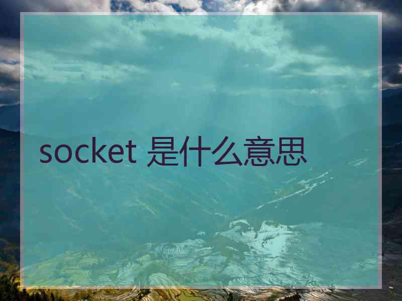 socket 是什么意思