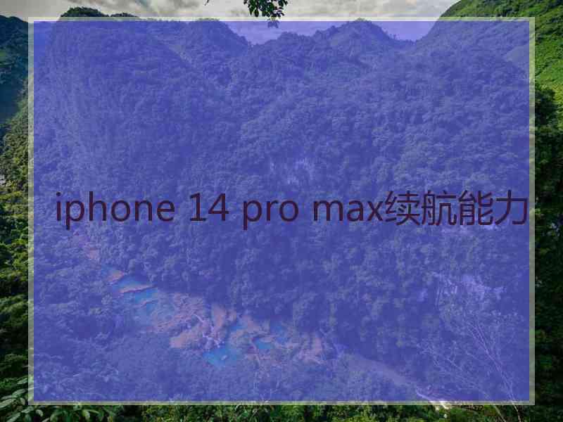 iphone 14 pro max续航能力