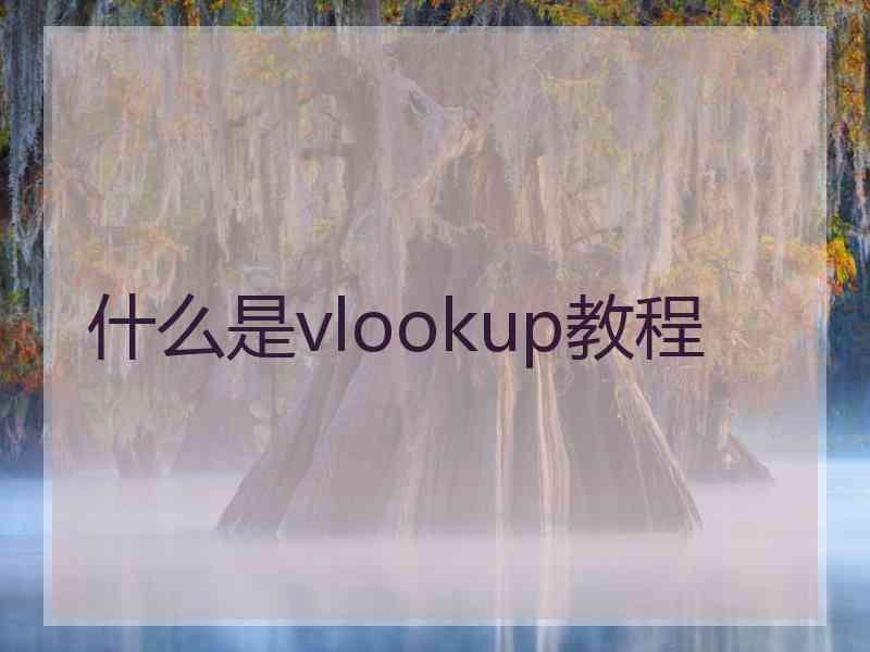 什么是vlookup教程